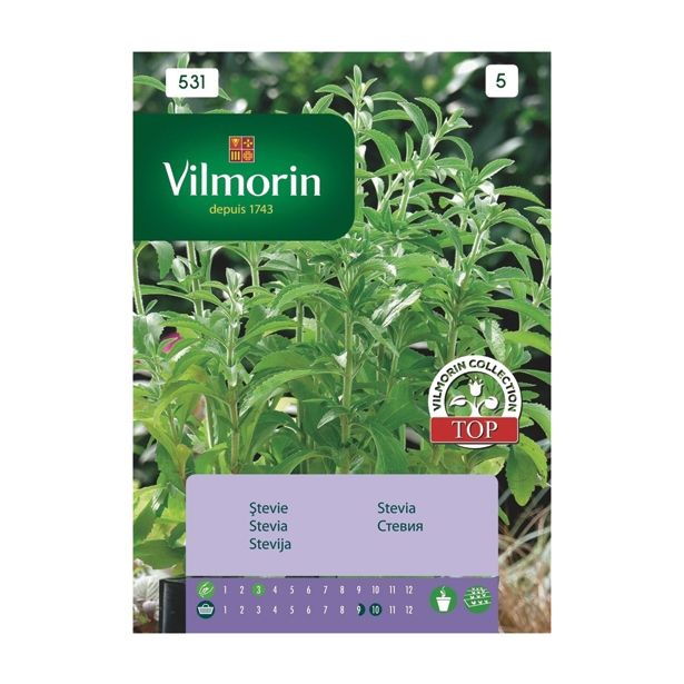 SEME DIŠAVNICE VILMORIN STEVIA