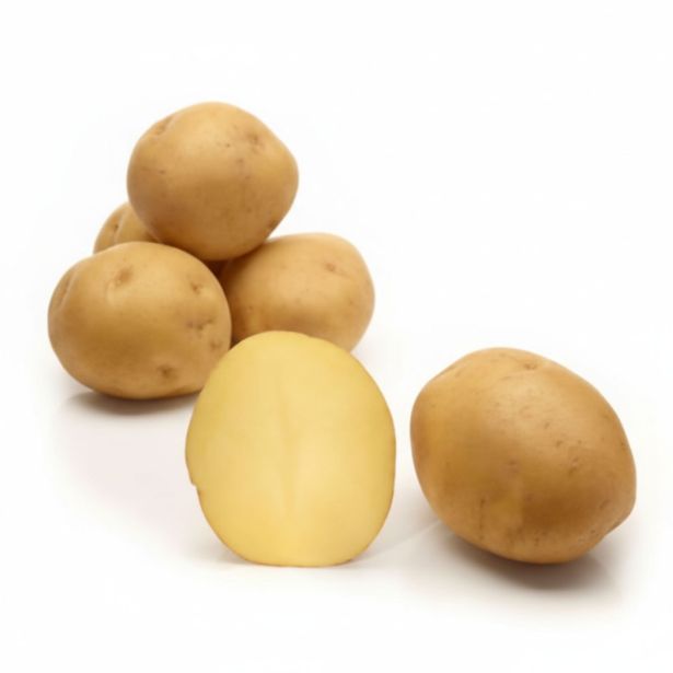 SEMENSKI KROMPIR SEMENARNA LAPERLA ZGODNJA 3KG 28-35 MM