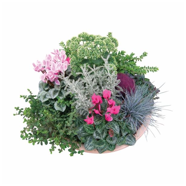 NASAD JESENSKI NASAD L27