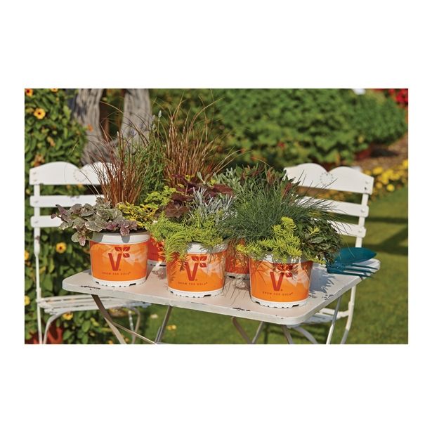 JESENSKI TRIO VOLMARY L19