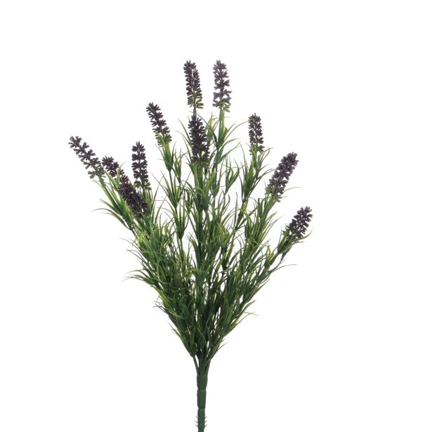 SIVKA VIOLIČNA - L51XD20CM