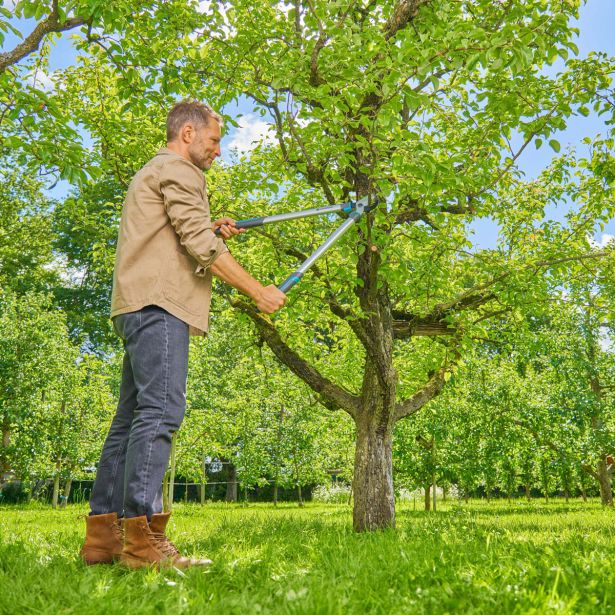 ŠKARJE ZA VEJE GARDENA EASYCUT L