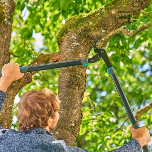 ŠKARJE ZA VEJE GARDENA ENERGYCUT PRO L NAKOVALO