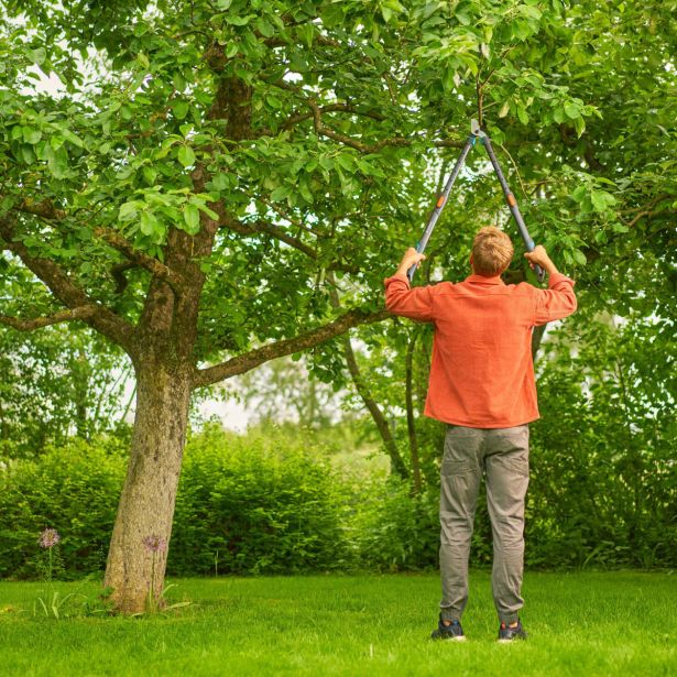 ŠKARJE ZA VEJE GARDENA TELECUT PRO L NAMESTO 2943233