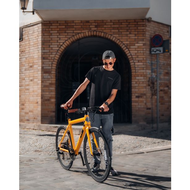 ELEKTRIČNO KOLO EBFREC SKIRON