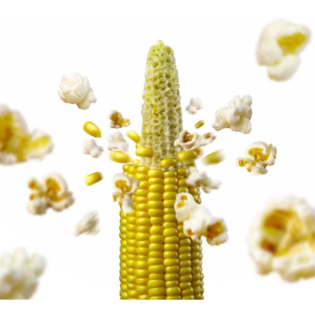 ZELENJAVNA SADIKA L'ORTO FRUTTIFERO SLADKA KORUZA 9/1 POP CORN KULTIPAK