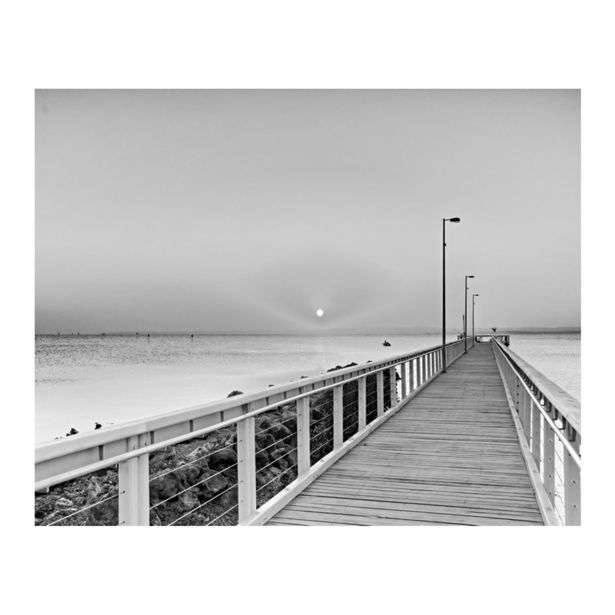 SLIKA BIVA STEKLO MOST 40X50X0.5 CM