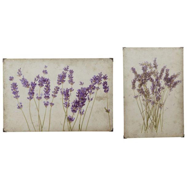 SLIKA DECORIS SLIKA STENSKA DEKORACIJA MOTIV ROŽE, SORT