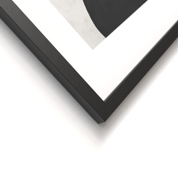 SLIKA STYLER DARLING DVOJNA Z OKVIRJEM 30X40 FR384