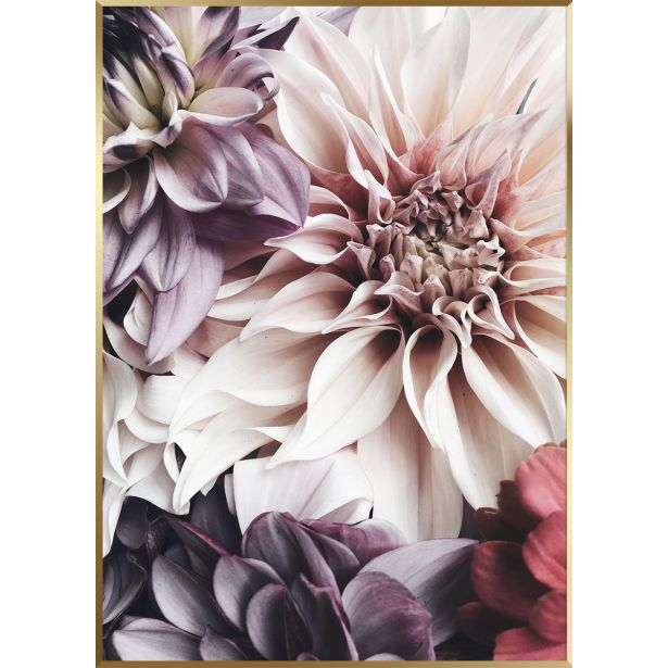SLIKA STYLER FLOWERS Z OKVIRJEM 50X70 AB053