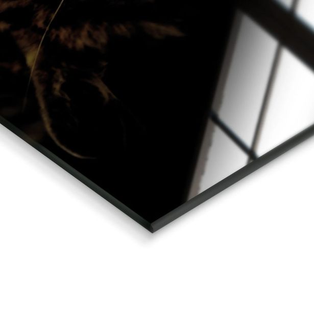 SLIKA STYLER LEOPARD STEKLENA 70X100 GL246