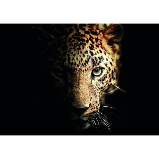 SLIKA STYLER LEOPARD STEKLENA 70X100 GL246