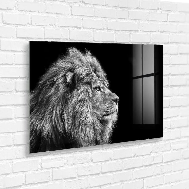 SLIKA STYLER LION SILVER STEKLENA 70X100 GL104