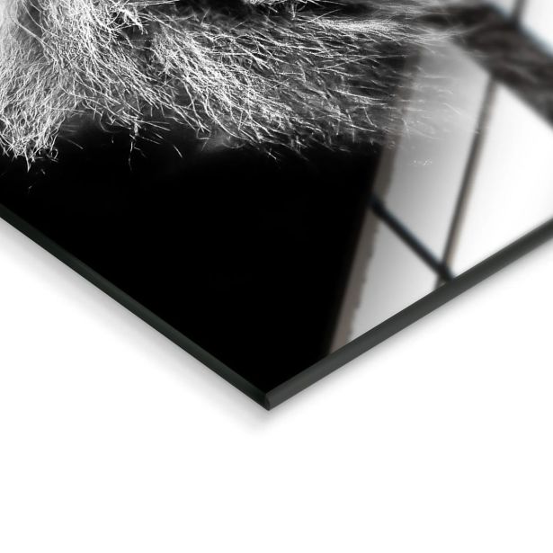 SLIKA STYLER LION SILVER STEKLENA 70X100 GL104