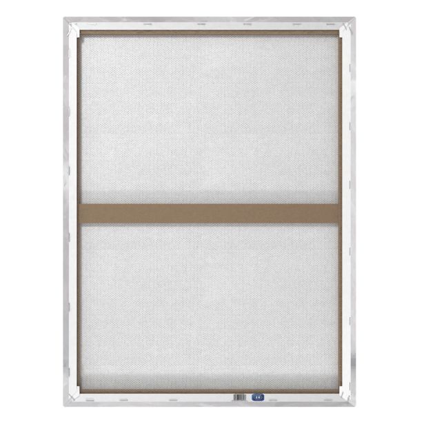 SLIKA STYLER PLATNO DANCER 60X80 EX315