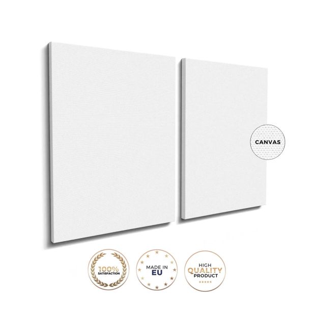 SLIKA STYLER PLATNO FUN DVOJNA 32X42 ST758