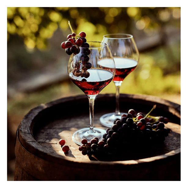 SLIKA STYLER WINE GLASSES STEKLENA 30X30 GL399