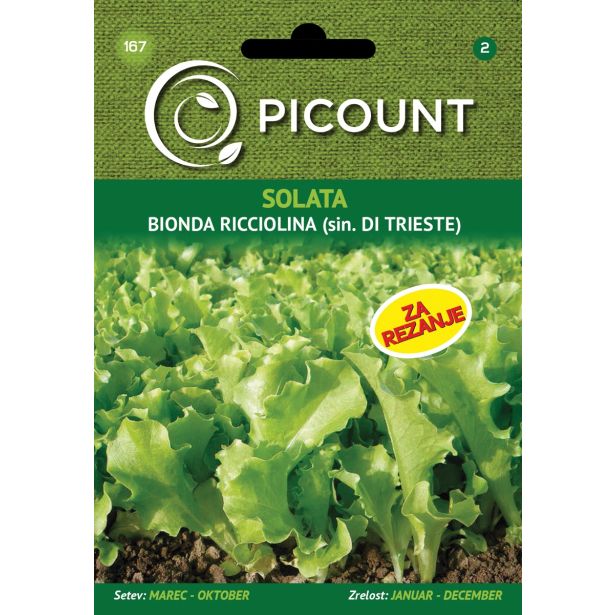 LISTNA ZELENJAVA VILMORIN SOLATA BIONDA RICCIOLINA O DI TRIESTE