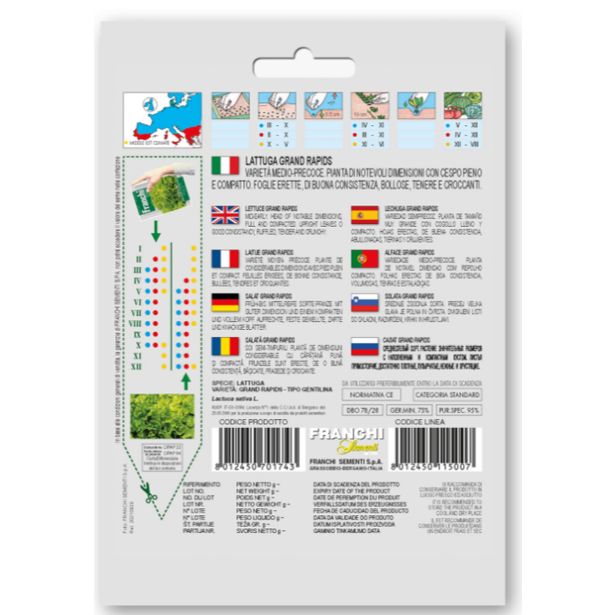 LISTNA ZELENJAVA FRANCHI SEMENTI SOLATA GENTILINA
