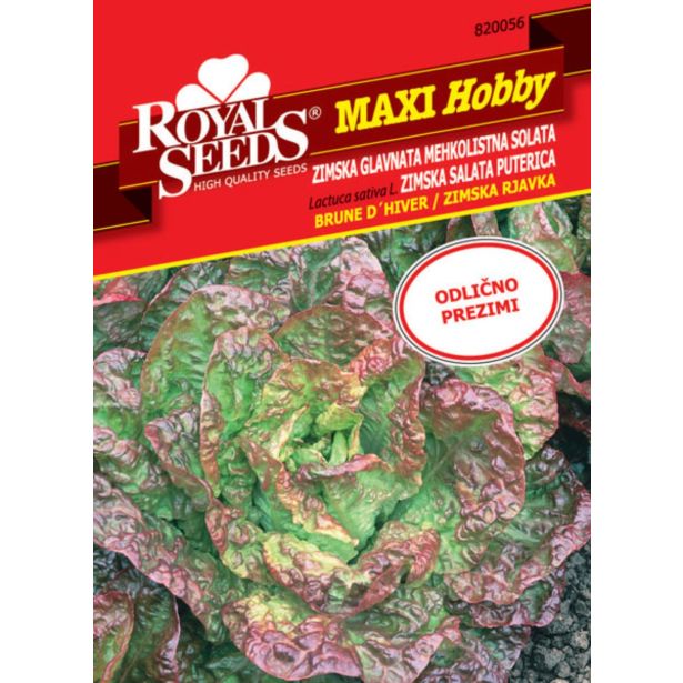 SOLATA ZIMSKA RJAVKA