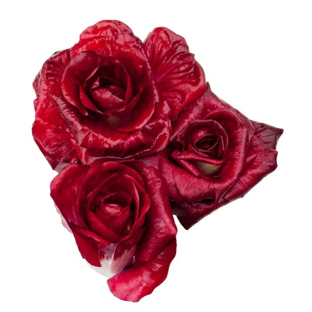 LISTNA ZELENJAVA L'ORTO FRUTTIFERO SOLKANSKI RADIČ 8/1 ISONTINA KULTIPAK