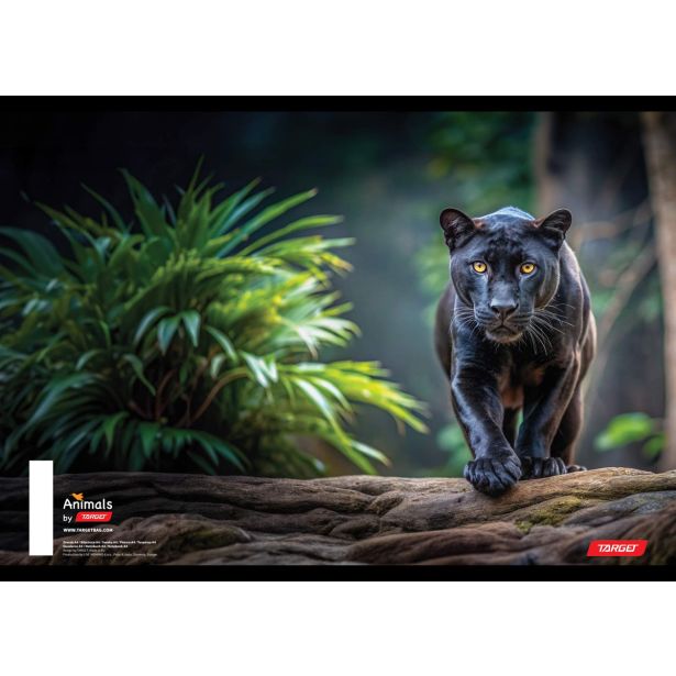 ŠOLSKI ZVEZEK TARGET A4 BREZČRTNI ANIMAL 52L 16530