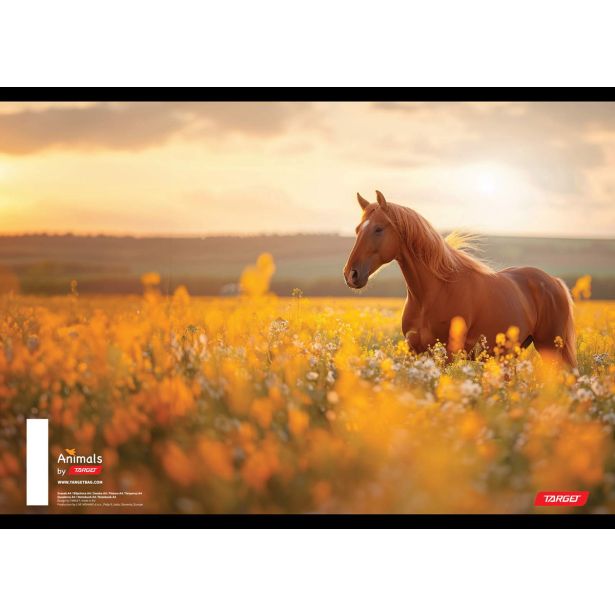 ŠOLSKI ZVEZEK TARGET A4 BREZČRTNI ANIMAL 52L 16530