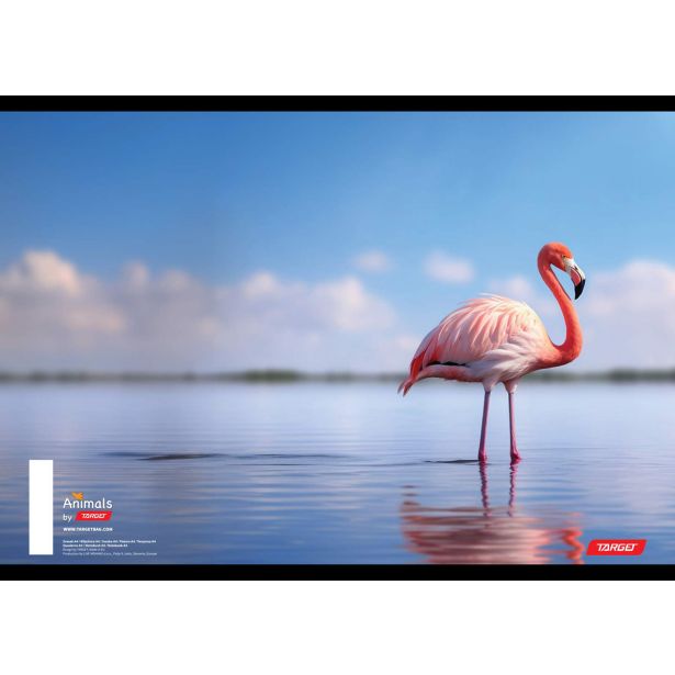 ŠOLSKI ZVEZEK TARGET A4 BREZČRTNI ANIMAL 52L 16530