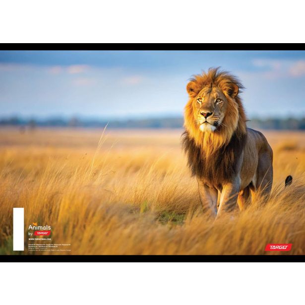 ŠOLSKI ZVEZEK TARGET A4 BREZČRTNI ANIMAL 52L 16530