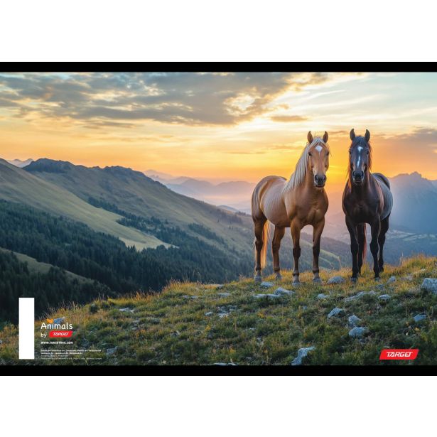 ŠOLSKI ZVEZEK TARGET A4 BREZČRTNI ANIMAL 52L 16530