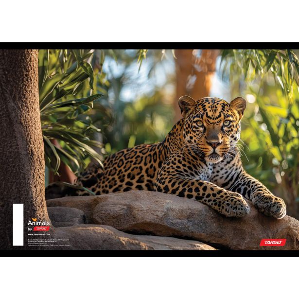 ŠOLSKI ZVEZEK TARGET A4 BREZČRTNI ANIMAL 52L 16530