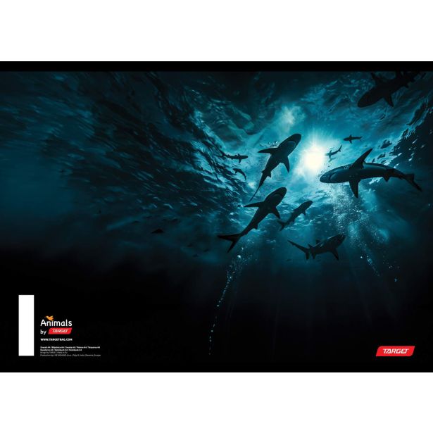 ŠOLSKI ZVEZEK TARGET A4 BREZČRTNI ANIMAL 52L 16530