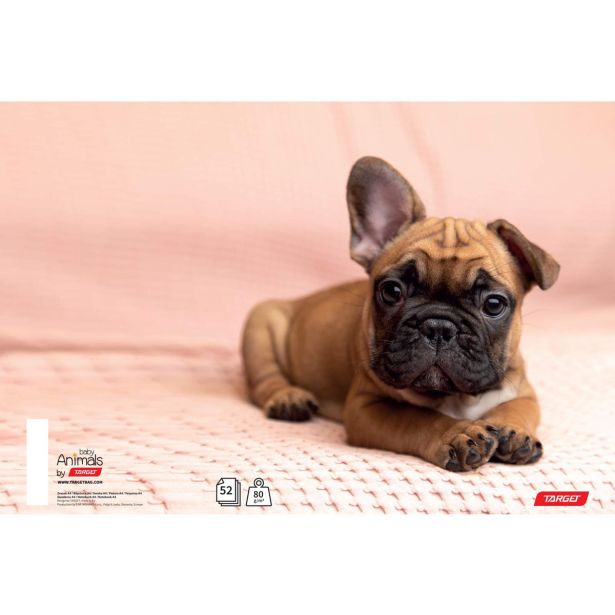 ŠOLSKI ZVEZEK TARGET A4 ČRTAST BREZ ROBA ANIMAL BABY 26416