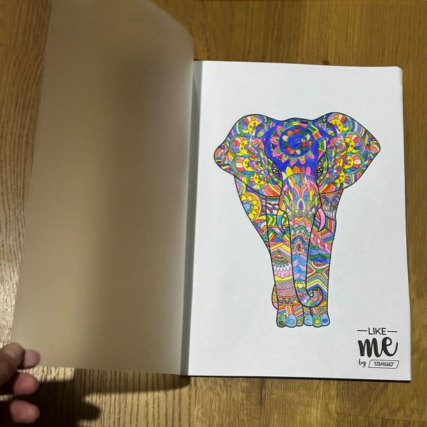 ŠOLSKI ZVEZEK TARGET A4 ČRTE COLOR ME 28196