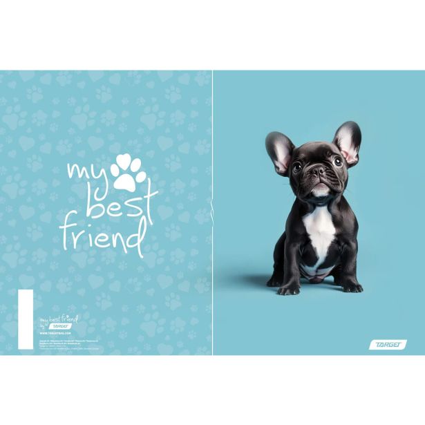 ŠOLSKI ZVEZEK TARGET A4 ČRTE MY BEST FRIENDS 28880