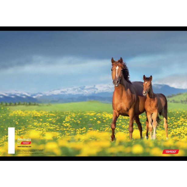 ŠOLSKI ZVEZEK TARGET A5 ČRTE ANIMAL 16526