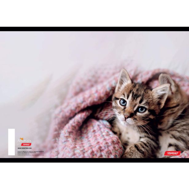 ŠOLSKI ZVEZEK TARGET A5 ČRTE ANIMAL 16526