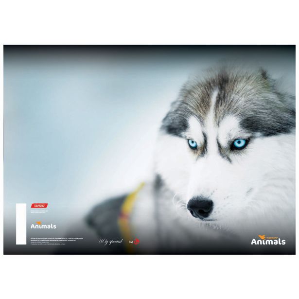 ŠOLSKI ZVEZEK TARGET A5 ČRTE ANIMAL 16526