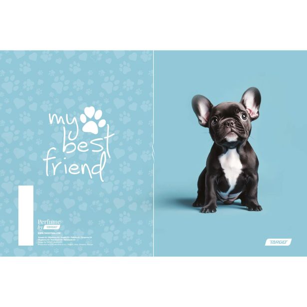 ŠOLSKI ZVEZEK TARGET A5 ČRTE MY BEST FRIENDS 28878