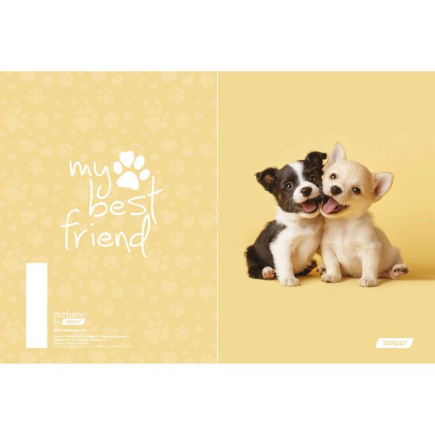 ŠOLSKI ZVEZEK TARGET A5 ČRTE MY BEST FRIENDS 28878