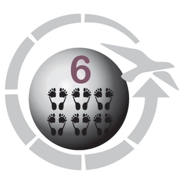 ŠOTOR EASY CAMP PALMDALE 600