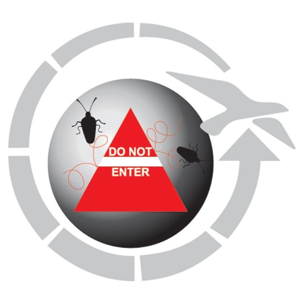 ŠOTOR EASY CAMP PALMDALE 600