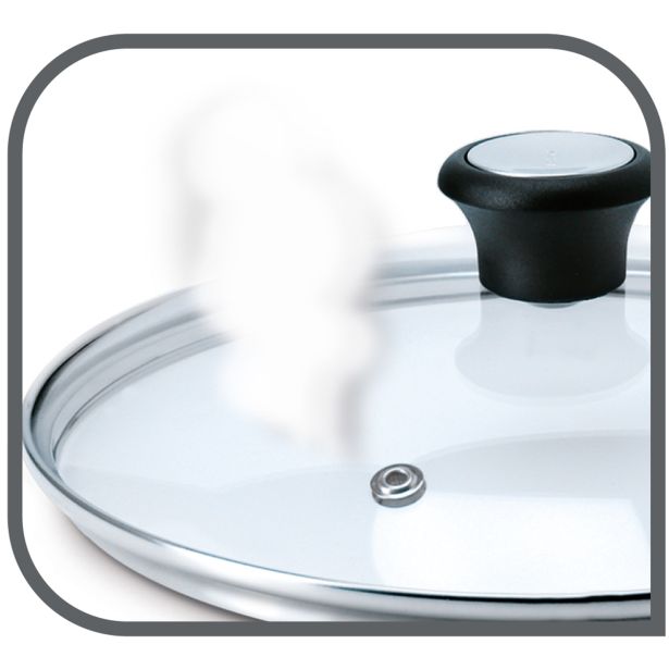 POKROVKA TEFAL 24 CM STEKLENA