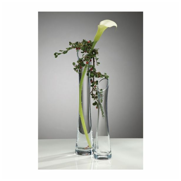 STEKLENA VAZA SANDRA RICH SOLO DIAGO 26X4.5 CM 1/1