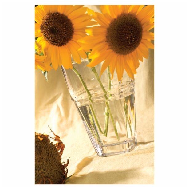 STEKLENA VAZA STEKLARNA HRASTNIK RONDO 13X21 CM