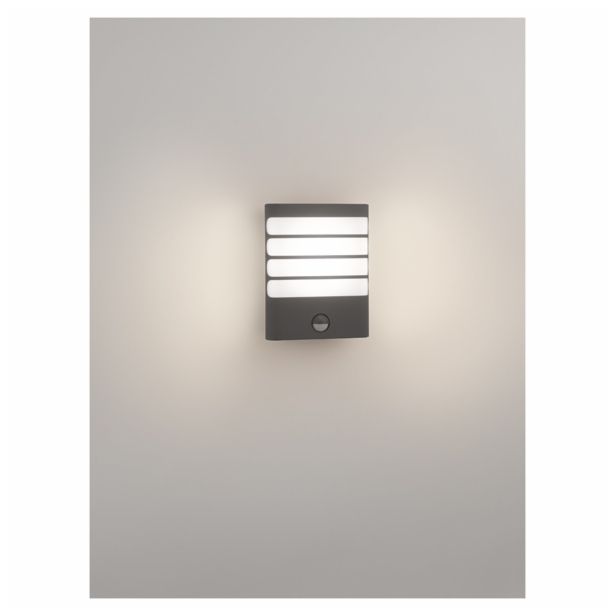 SENZORSKO SVETILO PHILIPS RACCON 1X3W S SENZORJEM ANTRACIT, LED