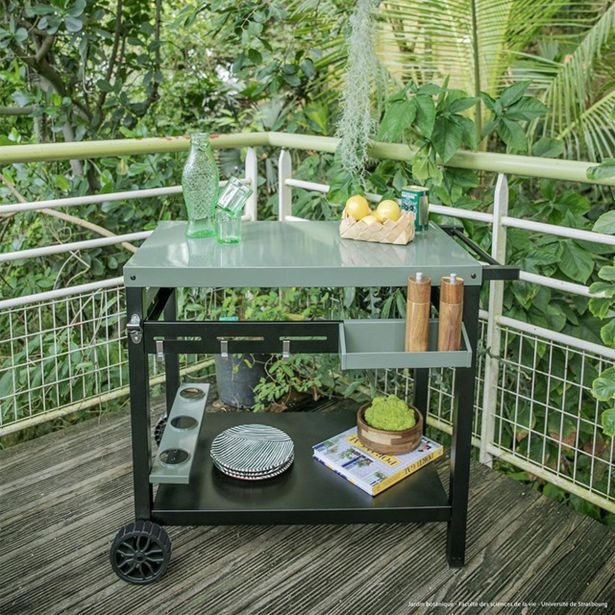 STOJALO ALI VOZIČEK LIVOO GS167V