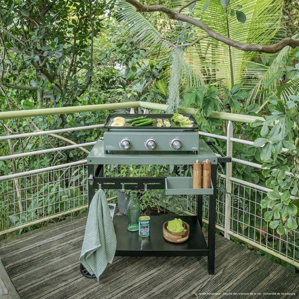 STOJALO ALI VOZIČEK LIVOO GS167V