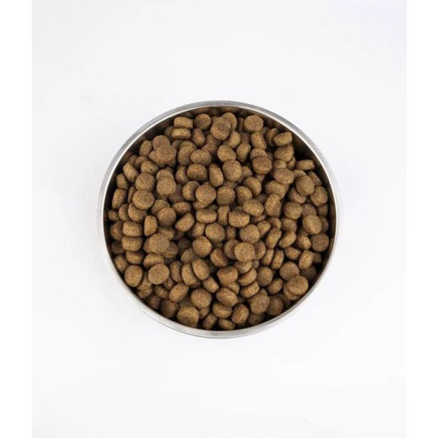 SUHA HRANA ZA PSE TRAMP ROC ADULT SUHA HRANA ZA ODRASLE PSE Z IBERSKO SVINJINO, 15 KG