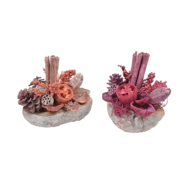 SUHO CVETJE DAR ARANŽMA V KOKOS LUPINI RDEČ ALI ORANŽEN